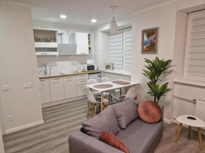 Studio seaside apartment in Libau